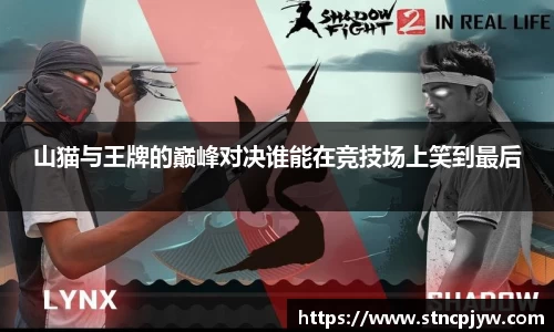 山猫与王牌的巅峰对决谁能在竞技场上笑到最后